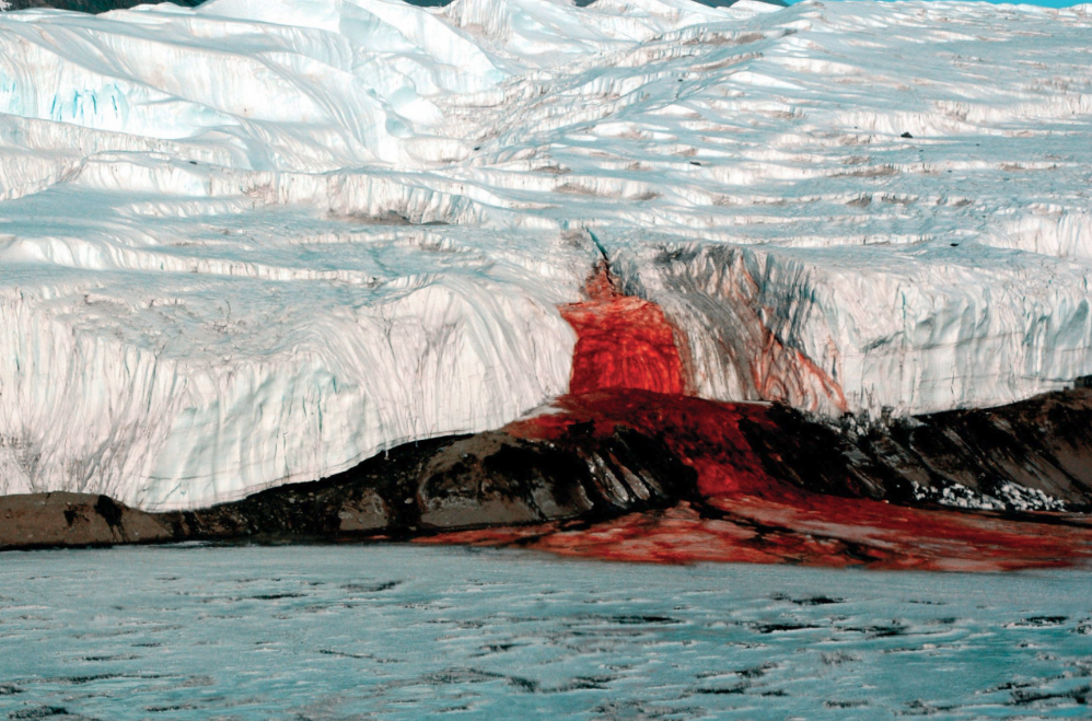 According to Wikipedia, Blood Falls “is an outflow of an iron oxide–tainted plume of saltwater, flowing from the tongue of Taylor Glacier onto the ice-covered surface of West Lake Bonney in the Taylor Valley.” Still creepy though. 